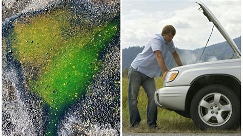 Why an Antifreeze or Coolant Leak Is Serious